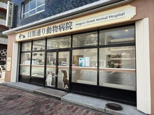 【東京都/目黒区下目黒】シティハウス下目黒 目黒通り動物病院（現地より約410m）