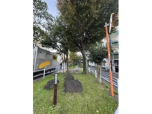 【東京都/世田谷区宮坂】ヴェノス経堂 北沢川緑道（現地より約220m）