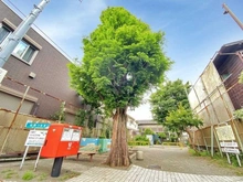 【東京都/世田谷区松原】サンウッド世田谷明大前 世田谷区松原つみき公園（現地より約240m）