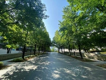 【神奈川県/横浜市西区花咲町】横浜MIDベースタワーレジデンス  グランモール公園（現地より約770m）
