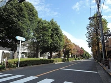 【東京都/世田谷区宮坂】東高ペアシティ世田谷赤堤 前面道路：ユリの木通り