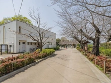 【東京都/世田谷区代田】プラウド世田谷代田 世田谷区立羽根木公園（現地より約700m）