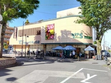 【東京都/世田谷区梅丘】プレミスト世田谷梅丘  ワイズマート梅ヶ丘店（現地より約800m）