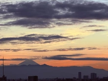 【東京都/品川区西五反田】アトラスタワー五反田 外観