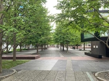 【東京都/品川区北品川】Brillia 品川 Canal Side 品川セントラルガーデン（現地より約160m）