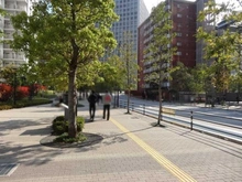 【東京都/品川区北品川】グローリア初穂御殿山 前面道路