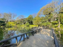 【東京都/渋谷区広尾】サンウッド広尾 有栖川宮記念公園（現地より約270m）