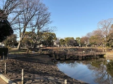 【東京都/品川区平塚】クレストフォルム戸越 品川区立文庫の森（現地より約540m）