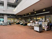 【東京都/江東区豊洲】THE TOYOSU TOWER  スーパーサカガミ　グランルパ豊洲店（現地より約750m）：