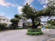 【東京都/中野区本町】ナイスアーバン中野坂上  塔の山公園（現地より約600m）
