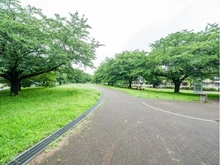 【東京都/練馬区羽沢】リビオ氷川台 城北中央公園（現地より約150m）