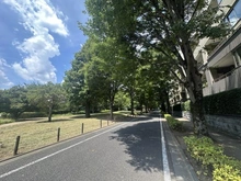 【東京都/世田谷区成城】パークシティ成城 Aコート 前面道路