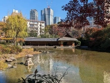 【東京都/港区六本木】パークサイド六本木 檜町公園（現地より約400m）