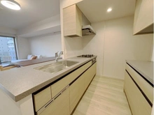 【東京都/新宿区高田馬場】パークシティ高田馬場 キッチン