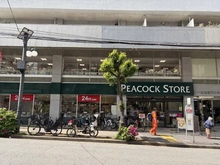 【東京都/渋谷区恵比寿南】マートルコート恵比寿南・II ピーコックストア 恵比寿南店（現地より約290m）