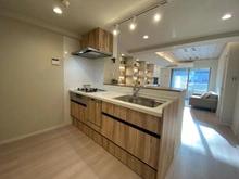 【東京都/北区滝野川】レーベンハイム板橋フィーリア キッチン：家具・エアコン付き