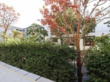 【東京都/練馬区氷川台】コープ野村練馬氷川台 眺望