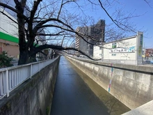 【東京都/練馬区氷川台】コープ野村練馬氷川台 石神井川（現地より約800m）