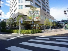 【東京都/荒川区東日暮里】アトラスブランズタワー三河島 前面道路