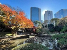 【東京都/文京区本郷】プラウドタワー本郷東大前 小石川後楽園（現地より約1,440m）
