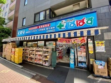 【東京都/文京区小石川】パークコート文京小石川ザタワー どらっぐぱぱす 小石川1丁目店（現地より約370m）