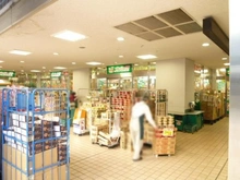 【東京都/中央区佃】エスタシオン月島 スーパー文化堂月島店（現地より約380m）