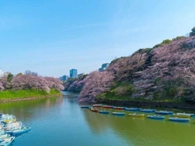 【東京都/文京区本郷】レガロ本郷三丁目 千鳥ヶ淵公園（現地より約3,400m）：