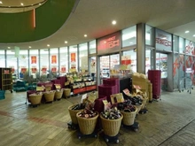 【東京都/文京区本郷】プラウドタワー本郷東大前 成城石井東京ドームラクーア店（現地より約1,110m）