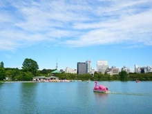 【東京都/文京区本郷】プラウドタワー本郷東大前  東京都上野恩賜公園（現地より約1,160m）