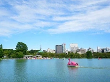 【東京都/文京区本郷】プラウド本郷  東京都上野恩賜公園（現地より約1,360m）