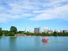 【東京都/文京区湯島】ファミール御茶ノ水アンシェール 上野恩賜公園（現地より約990m）