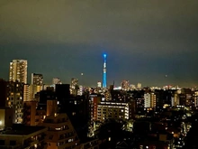 【東京都/文京区千駄木】フォルム文京動坂 眺望：リビングからのスカイツリービュー(ズームあり)