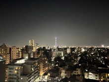 【東京都/文京区千駄木】フォルム文京動坂 眺望：リビングからのスカイツリービュー(ズームなし)