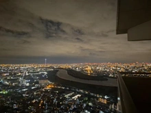 【埼玉県/川口市元郷】エルザタワー55 眺望