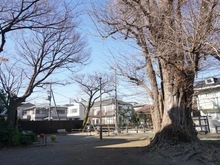 【神奈川県/川崎市高津区二子】プラウド二子新地  大陸天公園（現地より約10m）