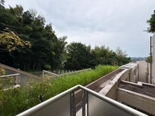 【神奈川県/川崎市高津区久地】エル・サフィーロ25 テラス