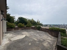 【神奈川県/川崎市高津区久地】エル・サフィーロ25 テラス