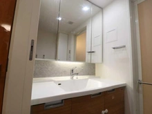 【神奈川県/川崎市高津区末長】エクセレントシティ武蔵新城アクトラージュ 洗面所