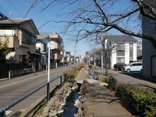 【神奈川県/川崎市高津区末長】エクセレントシティ武蔵新城アクトラージュ 江川せせらぎ遊歩道（現地より約1,090m）