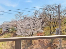 【神奈川県/川崎市宮前区宮前平】グランノア宮前平 眺望