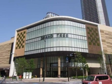 【神奈川県/川崎市中原区小杉町】パークシティ武蔵小杉ザガーデン タワーズウエスト グランツリー武蔵小杉（現地より約900m）：