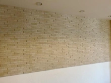 【神奈川県/川崎市宮前区馬絹】ライオンズマンション宮崎台第8 リビングの壁のエコカラット