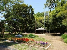 【神奈川県/川崎市宮前区宮崎】プラウド宮前平サウスアベニュー 宮崎第四公園（現地より約120m）