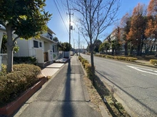 【東京都/昭島市田中町】グリーンタウン昭島 前面道路
