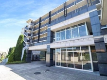 【神奈川県/横浜市旭区白根】レーベンリヴァーレ横濱鶴ヶ峰ヒルズ アプローチ