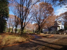 【東京都/新宿区大久保】エム・ブランド新宿戸山公園 都立戸山公園（現地より約430m）