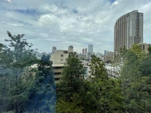 【東京都/港区三田】三田ガーデンヒルズ ウエストヒル 眺望：LDから