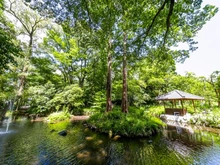 【東京都/新宿区下落合】ファミールグラン目白 区立おとめ山公園（現地より約210m）：