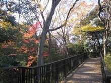 【東京都/新宿区下落合】目白御留山デュープレックス 新宿区立おとめ山公園（現地より約200m）