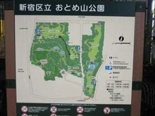 【東京都/新宿区下落合】目白御留山デュープレックス 新宿区立おとめ山公園（現地より約200m）